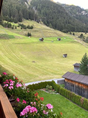Apart Studio Bergdiamant