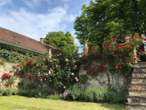 Apartamento Sattelzimmer Und Studio