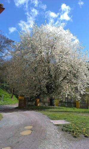 Apartamento Ferienwohnung Ottmanach Josefhof