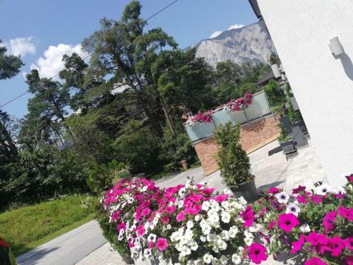 Hostal Landhaus Ambachhof
