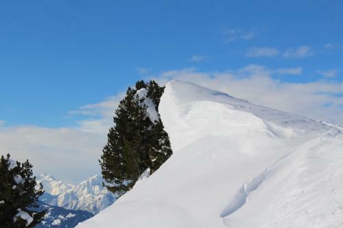 Apart Alpin Oetztal