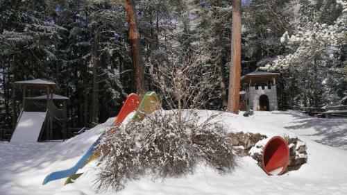 Ferienhaus Skiblume