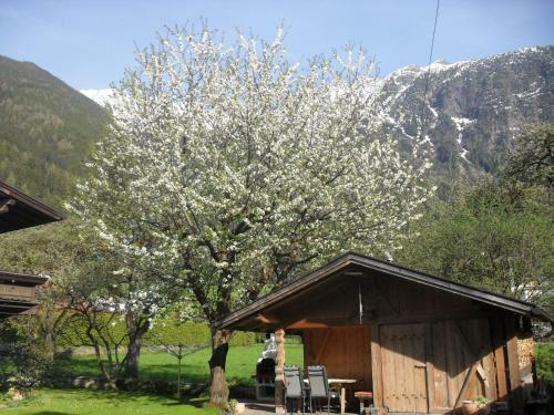 Apartamento Ferienhaus Zangerl