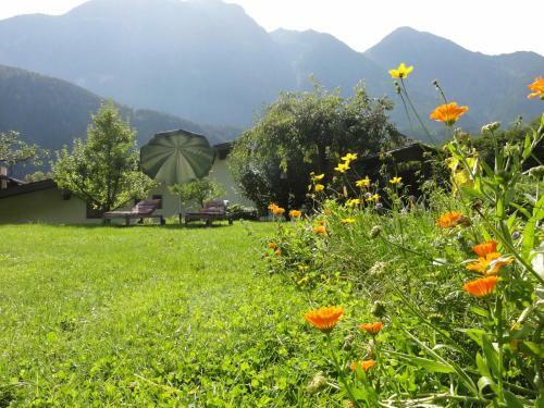 Apartamentos Haus Elfi Fiegl