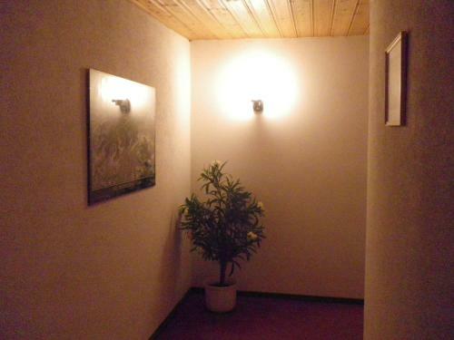 Apartamento Shoamatl
