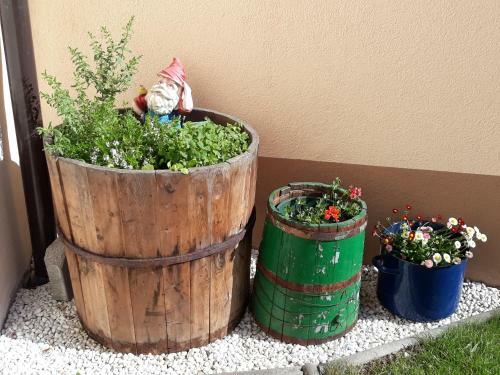 Apartamento Alblerhof