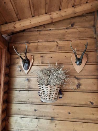 Apartamento Alblerhof