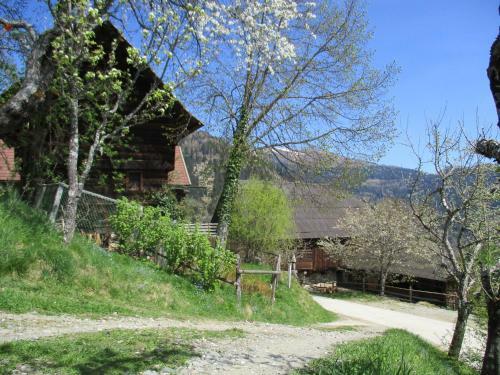 Apartment Berghof Familie Steinwender