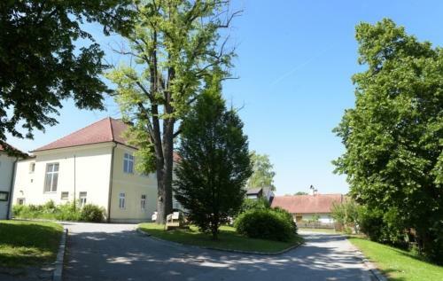 Apartamento Landhaus Nitsch