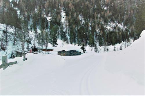Virgentaler Alp