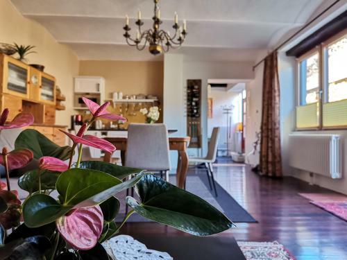 Apartamento G�stehaus Doris
