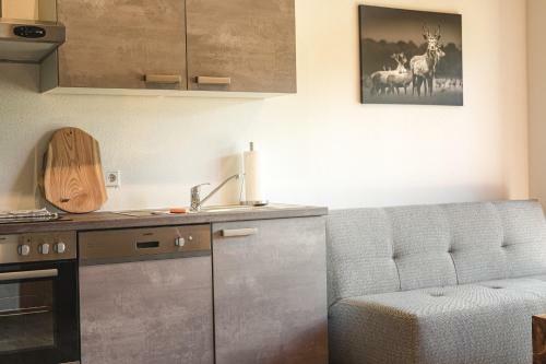 Apartamento Alpin Lodge Kitzblick