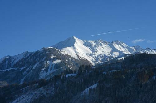 Apartamento Alpin Lodge Kitzblick