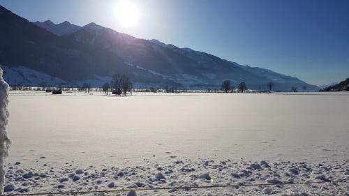 Apartamento Chalet Am Park