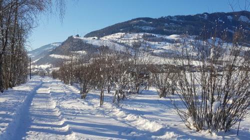 Apartamento Chalet Am Park