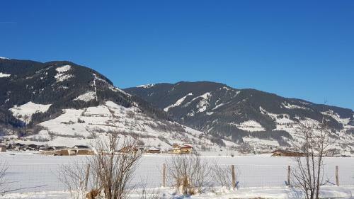 Apartamento Chalet Am Park