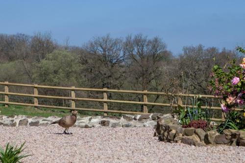 Fernside Bed And Breakfast