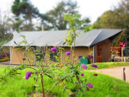 Durrell Wildlife Camp