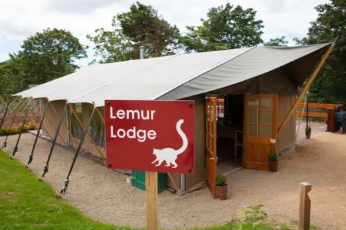 Durrell Wildlife Camp