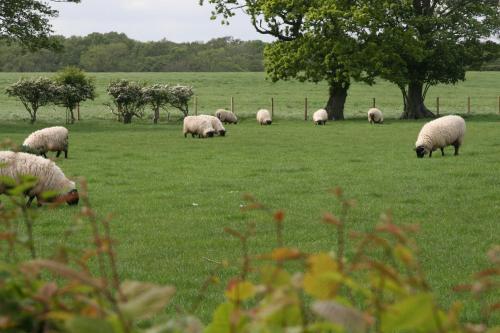Bed & Breakfast Northumberland Cottage