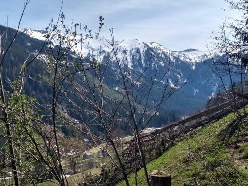 Hostal Gasthof Zum Lugauer