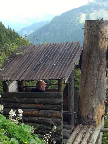 Hostal Gasthof Zum Lugauer