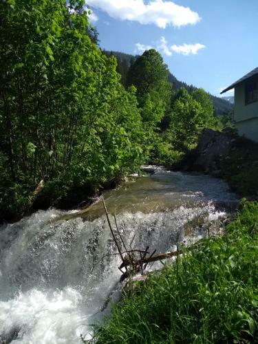Hostal Gasthof Zum Lugauer