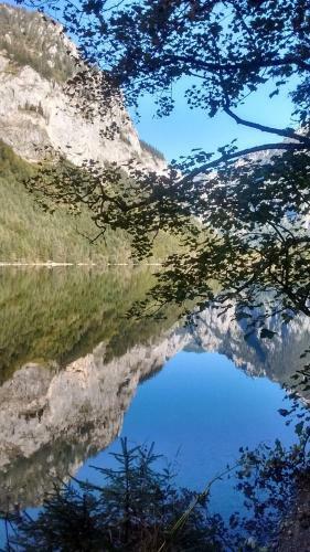 Hostal Gasthof Zum Lugauer