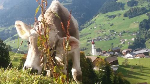 Apartamento Haus Frassen