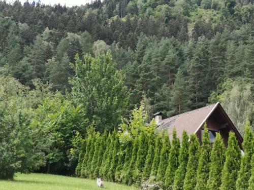 Villa K�rnten Radenthein