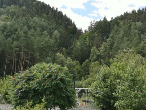 Villa K�rnten Radenthein