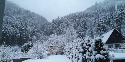 Villa K�rnten Radenthein