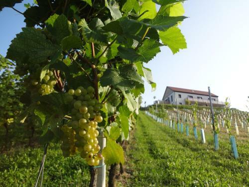 Apartamento Weinstra�enapartment Fam. Dietrich