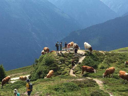 Apartamento Landhaus Zillertal