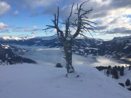 Apartamento Landhaus Zillertal
