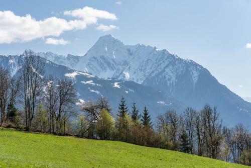 Staudach - Alpinresidenz Zillertal