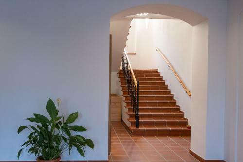Apartamento Waldschl�ssl Schneed�rfl