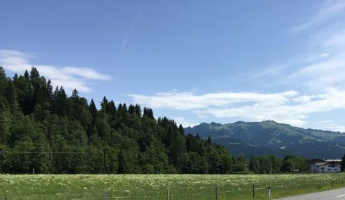 Apartamento Ferienwohnung Zum Blauen Elefanten