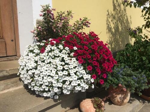 Apartamento Rutarhof