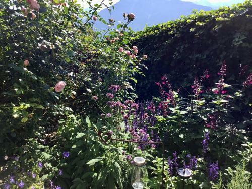Apartamento Natur Pur