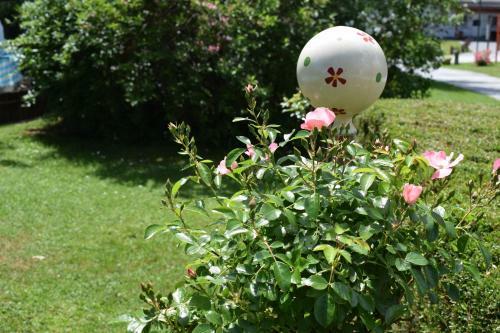 Agroturismo Kinderbauernhof Wachmann