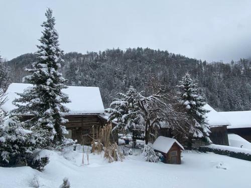 Apartamento Panorama Wohnung Rungelin Bludenz