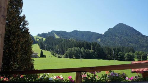 Hostal Pension Alpina