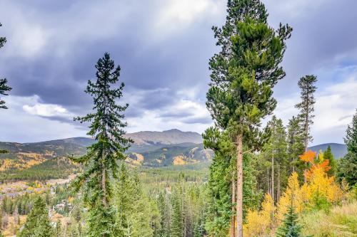 White Cloud Vista