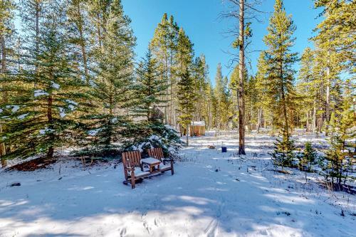 Breck Bliss
