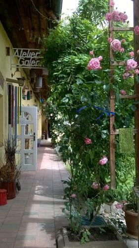Apartamento Kunstoase Slatar