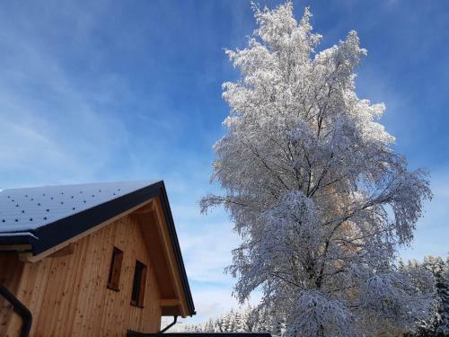 Apartamento Auszeit Almhaus Schmalzbauer