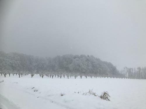 Der Burgunderhof - Steiermark