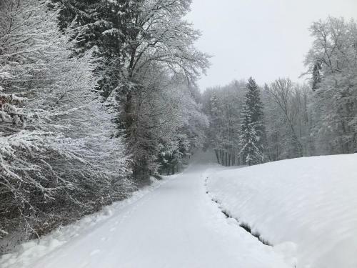 Der Burgunderhof - Steiermark