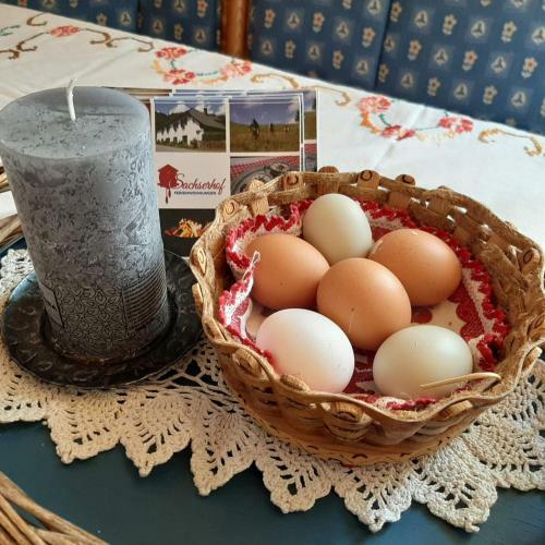 Apartamento Sachserhof Ferienwohnungen